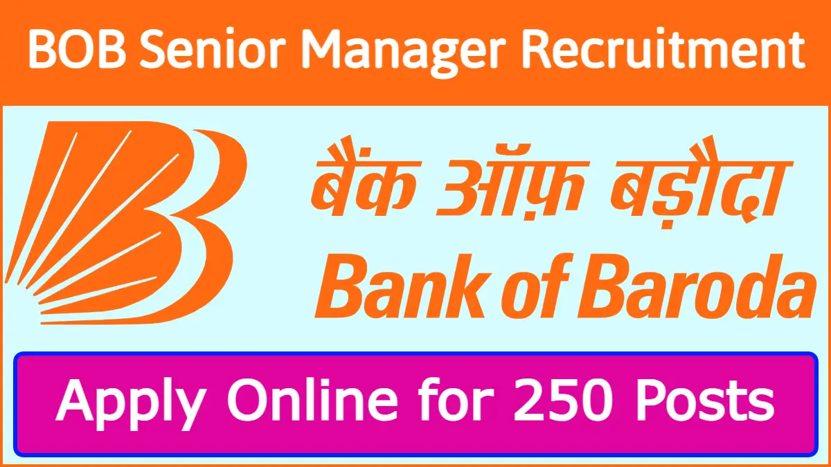 Bank Of Baroda Senior Manager Recruitment